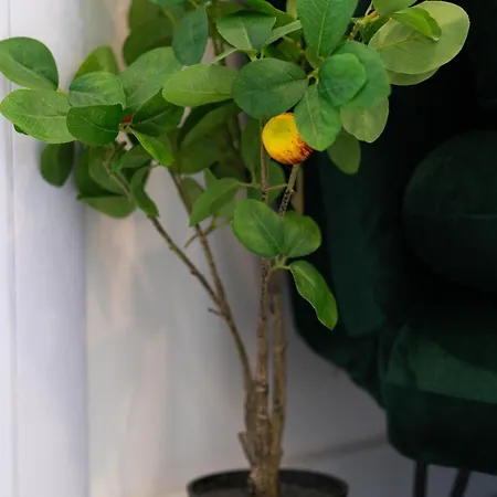 Apartament In The Heart Of The Center