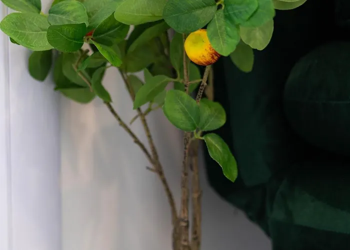 아파트 In The Heart Of The Center